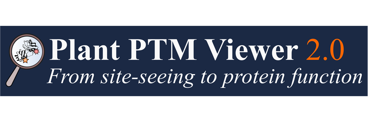 Plant PTM Viewer is a centralized resource for plant post-translational modifications (PTMs) intuitive for wet- and dry-lab scientists.