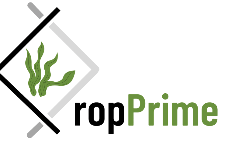 Stabilizing CROP yield under unfavourable conditions by molecular PRIM(E)ing - CropPrime